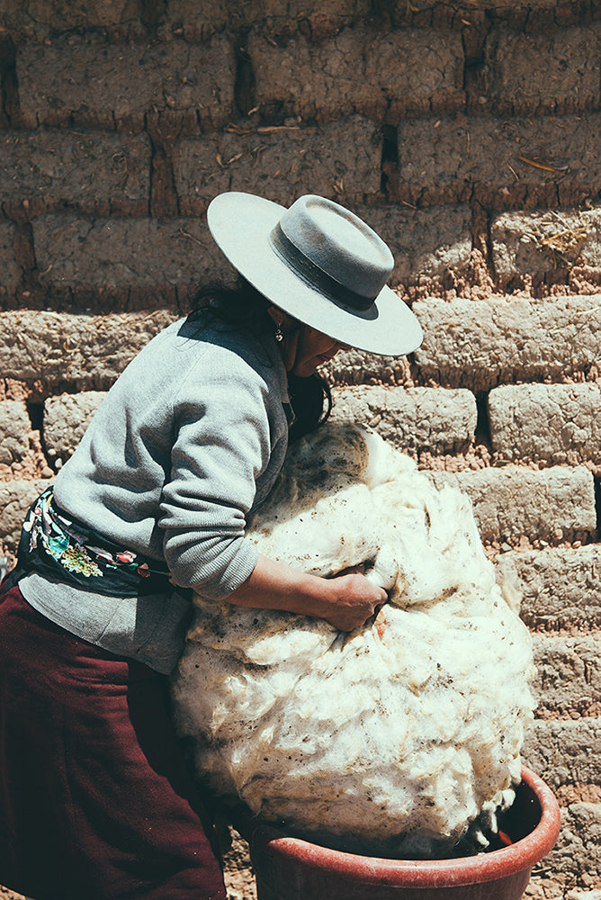 Shearing of Sheep